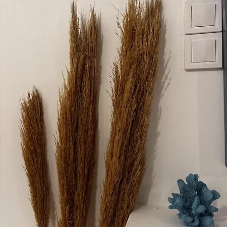 San Giorgio Leros * Drymonas