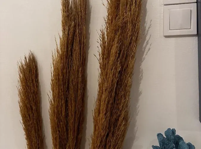 San Giorgio Leros * Drymonas